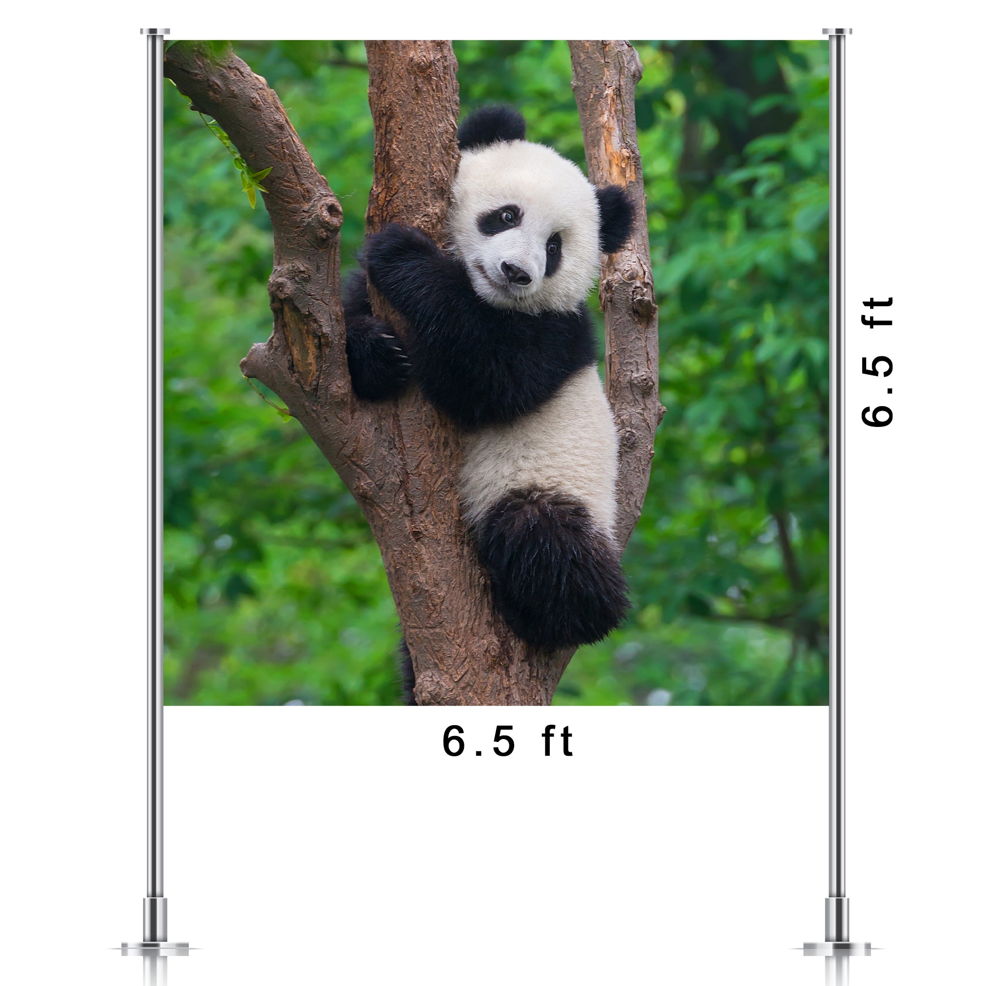 Panda Backdrop