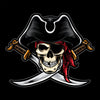 Pirate Skull Backdrop