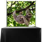 Sloth Backdrop