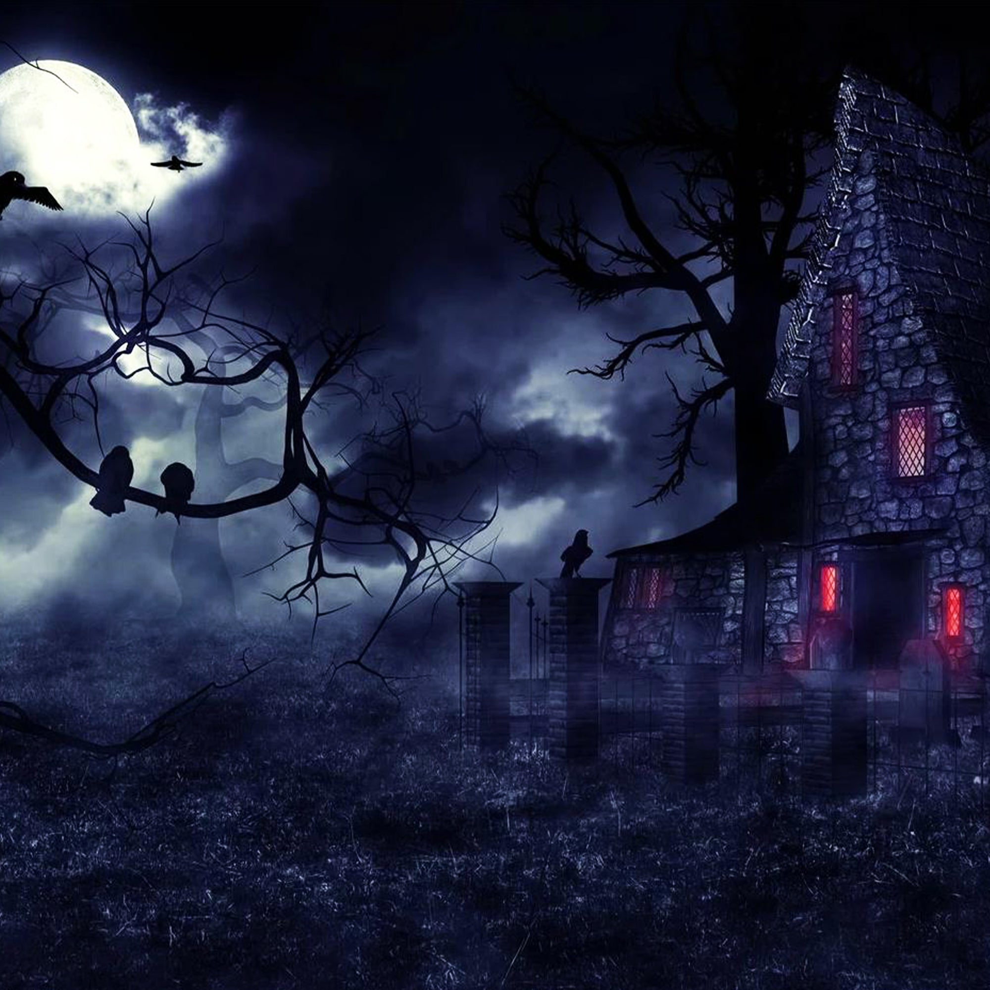 Spooky Witch House Backdrop